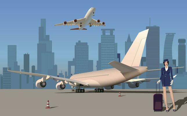 Stewardess at the airport near the airliner. Vector.