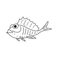 Fish in hand drawn doodle style. Vector illustration isolated on white background. Coloring book.