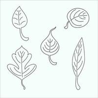 leaf line art vector