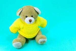 Brown Teddy bear toy wear yellow shirts sitting on green background photo