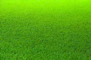 Football field green grass pattern texture background,texture grass for background photo