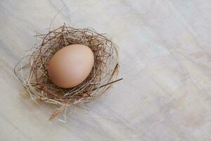 un nido con uno huevo en madera mesa antecedentes foto
