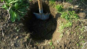 jardinería, plantando y agricultura concepto. cerca arriba de pala excavación agujero foto