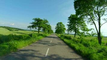 vliegend over- een groen tarwe veld, Doorzichtig blauw lucht. agrarisch industrie. video