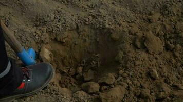 Shovel digging hole in the ground. Close up photo