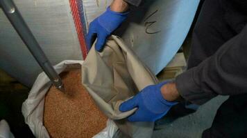 Hands of a worker in blue gloves and masking gloves unrolls a polyethylene film into a plastic bag photo