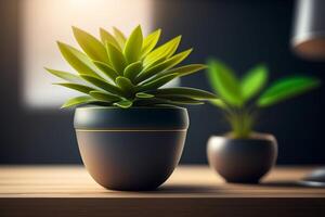 Green plant in black pot on wooden table. . photo