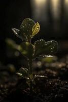 joven planta con agua gotas, creado con generativo ai foto