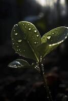 Young plant with water drops, created with photo