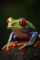 Red Eyed Tree Frog Agalychnis callidryas, created with photo