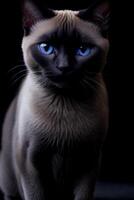 siamés gato con azul ojos se sienta en un negro fondo, azul ojos, retrato, gótico. generativo ai, generativo, ai foto