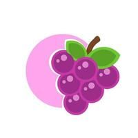 cute simple grape illustration vector