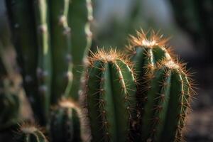 cactus en frente de un hermosa lugar, generativo ai foto