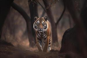 An image of a tiger is coming towards the camera in a forest, photo