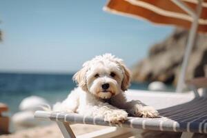 un perro sentado en un playa, verano concepto imagen, generativo ai foto