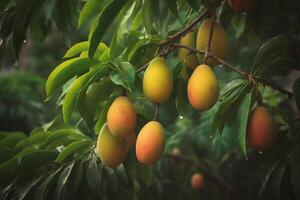 un imagen de algunos mango en un árbol, generativo ai foto