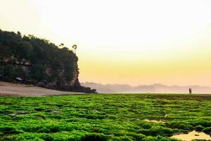 Panoramic seaview with picturesque beach at sunrise, Sepanjang Beach, Indonesia photo