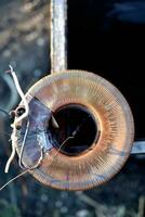 Copper coil. Copper wire wound on a coil. Copper scrap. photo