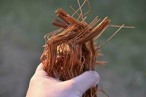 A bundle of copper wire in his hand. Copper scrap. Shiny red copper wire. photo