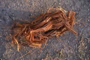 A bundle of copper wire in his hand. Copper scrap. Shiny red copper wire. photo