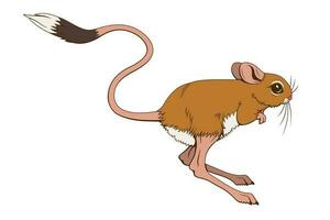 Jumping Jerboa. Vector clipart isolated on white.