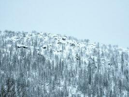 Snow pass. Winter Arctic wooded snow hills. Minimalistic landscape. photo