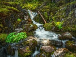 Atmospheric minimal landscape with a long exposure of a large waterfall on a green rock. Nature background of turbulent falling water stream on wet rocks. photo