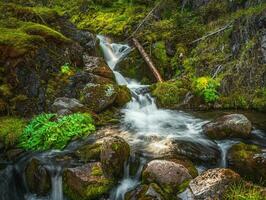 atmosférico mínimo paisaje con un largo exposición de un grande cascada en un verde roca. naturaleza antecedentes de turbulento que cae agua corriente en mojado rocas foto