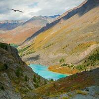 Superior shavlin lago en el altai. otoño alpino paisaje con hermosa superficial montaña lago con corrientes en tierras altas Valle desde más grande montañas debajo nublado cielo. foto