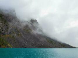 alpino místico natural antecedentes con niebla temprano Mañana. siluetas de puntiagudo abeto tapas en ladera a lo largo montaña lago en denso niebla. foto