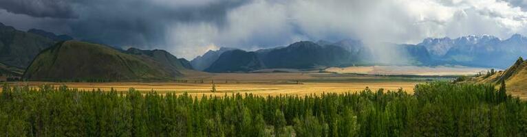 Wide panoramic landscape with the edge of a coniferous forest and mountains in a light fog. Atmospheric dramatic autumn mountain landscape. Kurai steppe. Altai Mountains. photo