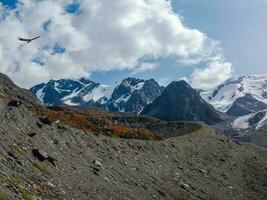 High-altitude snowy plateau with a path along the crest of a volcano, a steep slope. photo