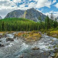 Power mountain river flows down from the glacier. Beautiful alpine landscape with azure water in a fast river. The power of the majestic nature of the highlands.  Water rapids. Altai Mountains. photo