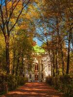 kuskovo museo inmuebles en otoño, parque Arte en kuskovo. Moscú. foto