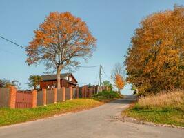 An empty village autumn road with a house behind a fence photo