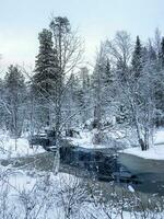 Winter snowy Northern forest with river on a polar day. photo