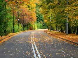 Empty autumn road with trees in a row on the edges. photo