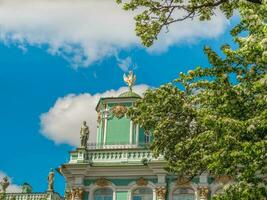 The Hermitage, fragments of the building surrounded by flowering trees in the summer. photo