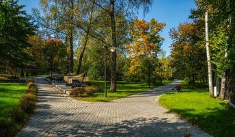 hermosa otoño ver de sokolniki parque en Moscú. bifurcación de el la carretera. foto