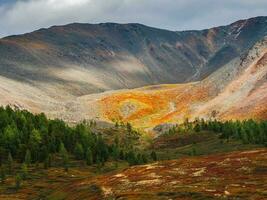 dramático dorado ligero y sombra en el rock en otoño estepa. alta altitud meseta. atmosférico otoño montaña paisaje. panorámico paisaje con el borde de un conífero bosque y montaña foto