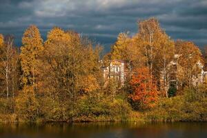 hermosa soleado otoño costero paisaje en el lago. un Rico mansión detrás dorado otoño arboles foto