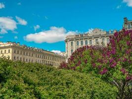 Summer city landscape with blooming trees on a background of urban architecture photo