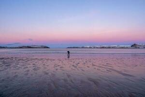 The photographer shoots a wonderful Arctic sunset landscape on the Barents sea photo