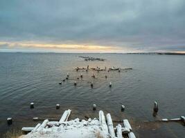 Winter minimalistic landscape with an old ruined pier in the White Sea. photo