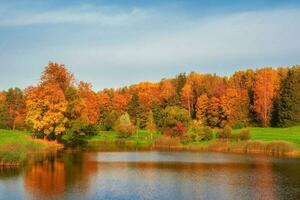 Autumn trees on the bank of the pond. Panoramic autumn landscape with red trees. photo