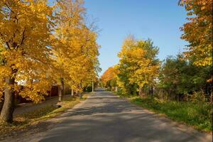 pueblo en otoño. ruso pueblo la carretera. pavimentado la carretera mediante el dacha pueblo en el otoño foto