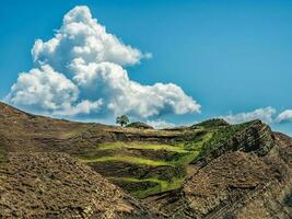 brillante blanco nubes en el cielo y verde gradas son cubierto con escaso vegetación de el laderas alto montañas, complejo montaña paisaje. foto