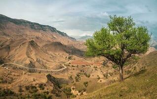 vistoso soleado verde paisaje con siluetas de grande rocoso montañas y épico profundo garganta. foto