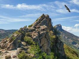 A flying eagle over a rocky cliff. Griffon Vulture Gyps fulvus flying on the sky over the mountains. photo