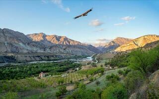 Panorama of the evening view of the Avar Koysu river in Dagestan. photo